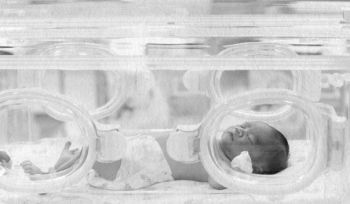 Иллюстрация к книге — Девочка. Девушка. Женщина [i_392.jpg]