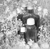 Иллюстрация к книге — Девочка. Девушка. Женщина [i_454.jpg]