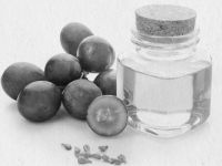 Иллюстрация к книге — Девочка. Девушка. Женщина [i_493.jpg]