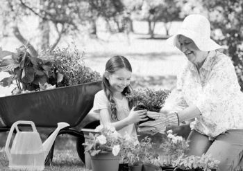 Иллюстрация к книге — Девочка. Девушка. Женщина [i_536.jpg]