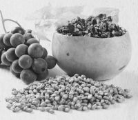 Иллюстрация к книге — Девочка. Девушка. Женщина [i_556.jpg]