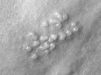 Иллюстрация к книге — Девочка. Девушка. Женщина [i_571.jpg]