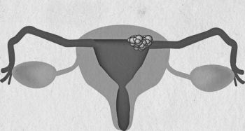 Иллюстрация к книге — Девочка. Девушка. Женщина [i_594.jpg]