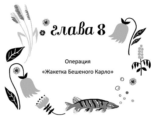 Иллюстрация к книге — Мы – Разбойниковы [vinjetti_8_ru.jpg]