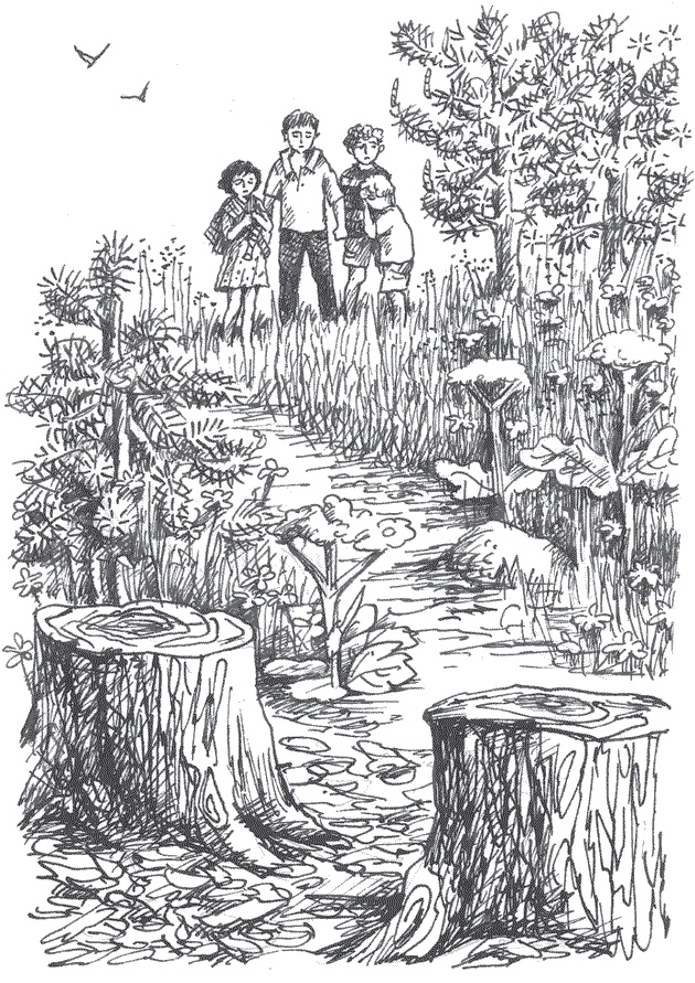 Иллюстрация к книге — Легкие горы [i_012.jpg]