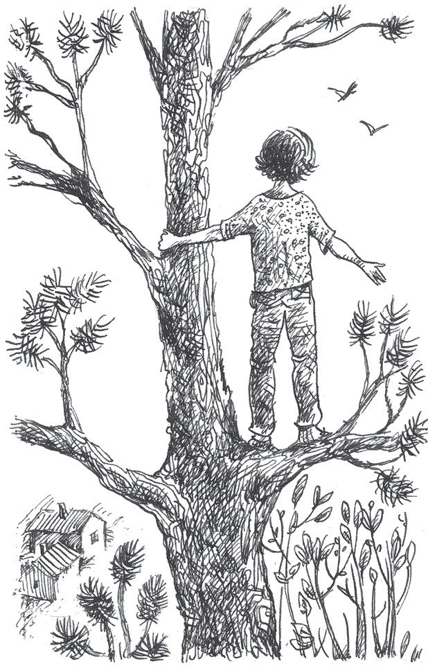 Иллюстрация к книге — Легкие горы [i_014.jpg]