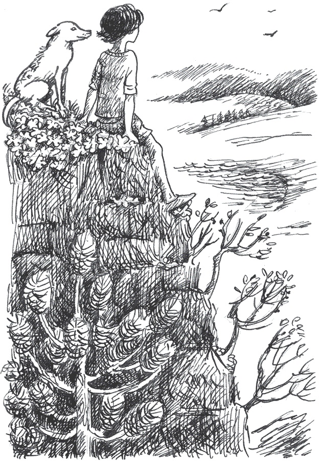 Иллюстрация к книге — Легкие горы [i_018.jpg]