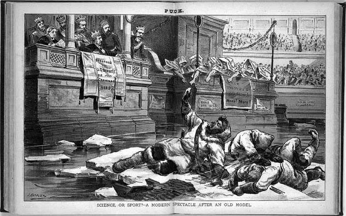 Иллюстрация к книге — Изнанка белого. Арктика от викингов до папанинцев [_012.jpg]