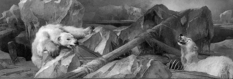 Иллюстрация к книге — Изнанка белого. Арктика от викингов до папанинцев [_047.jpg]