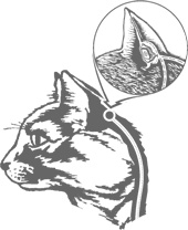 Иллюстрация к книге — Искусство шпионажа. Тайная история спецтехники ЦРУ [i_027.jpg]