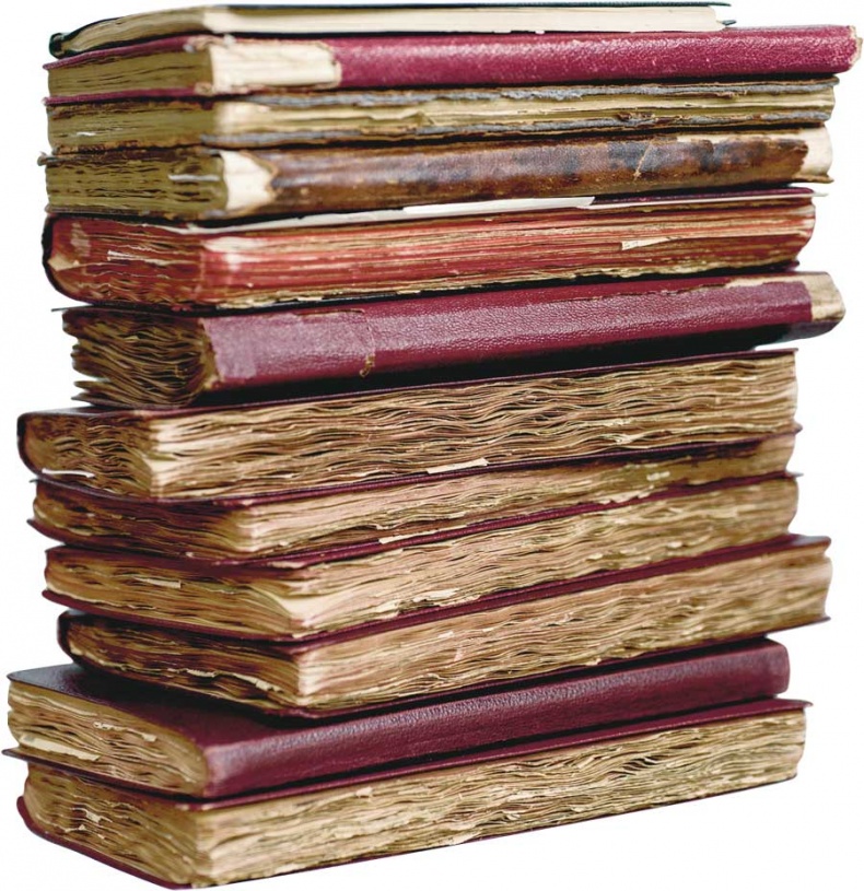 Иллюстрация к книге — Астрид Линдгрен. Этот день и есть жизнь [i_052.jpg]