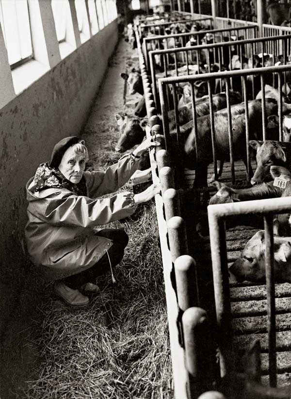 Иллюстрация к книге — Астрид Линдгрен. Этот день и есть жизнь [i_109.jpg]