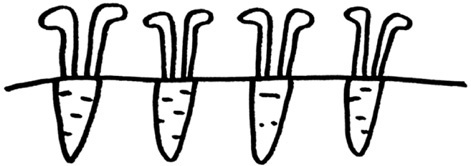 Иллюстрация к книге — КИМКА &amp; компания [i_012.jpg]