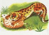 Иллюстрация к книге — Последний окножираф [img6649.jpg]