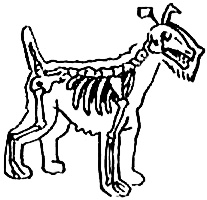 Иллюстрация к книге — Концерт для баяна с барабаном [i_057.jpg]