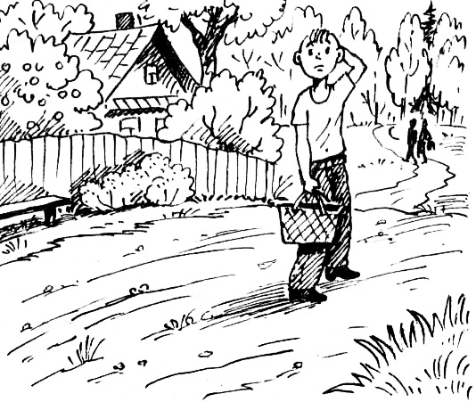 Иллюстрация к книге — Концерт для баяна с барабаном [i_077.jpg]