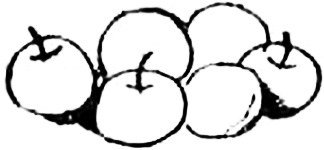 Иллюстрация к книге — Концерт для баяна с барабаном [i_080.jpg]