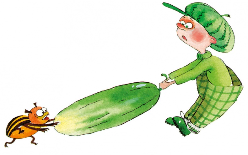 Иллюстрация к книге — Жил-был Зелёненький [i_005.jpg]