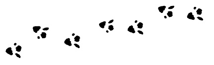 Иллюстрация к книге — Урмель, который приплыл на льдине [i_004.jpg]