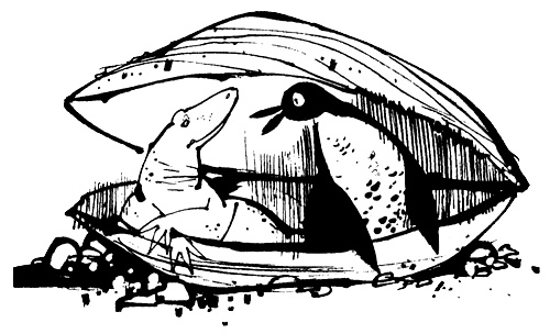 Иллюстрация к книге — Урмель, который приплыл на льдине [i_007.jpg]