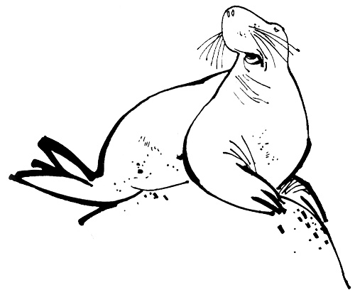 Иллюстрация к книге — Урмель, который приплыл на льдине [i_008.jpg]