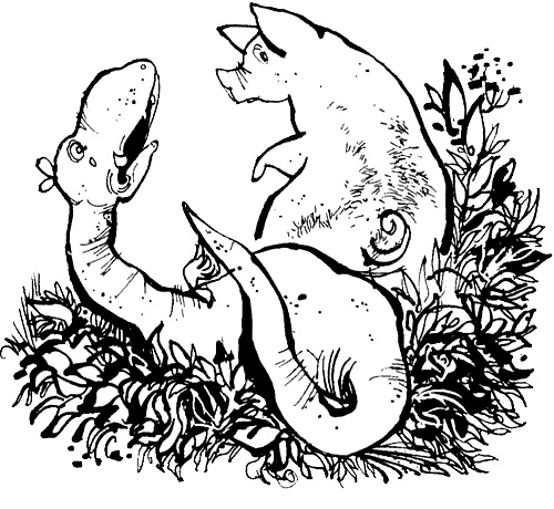 Иллюстрация к книге — Урмель, который приплыл на льдине [i_020.jpg]