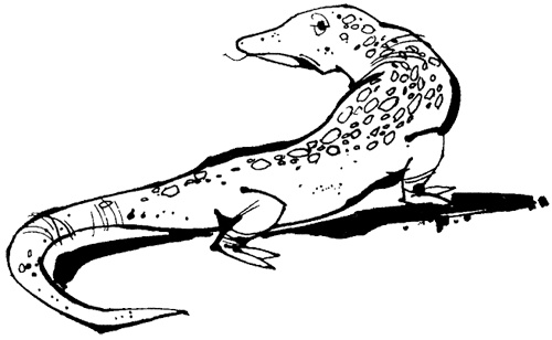 Иллюстрация к книге — Урмель, который приплыл на льдине [i_028.jpg]