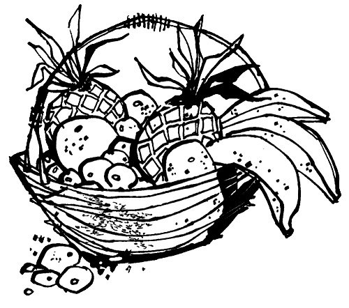 Иллюстрация к книге — Урмель, который приплыл на льдине [i_049.jpg]