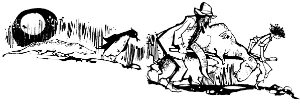 Иллюстрация к книге — Урмель, который приплыл на льдине [i_051.jpg]