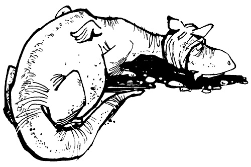 Иллюстрация к книге — Урмель, который приплыл на льдине [i_054.jpg]