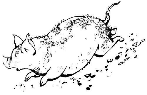 Иллюстрация к книге — Урмель, который приплыл на льдине [i_072.jpg]