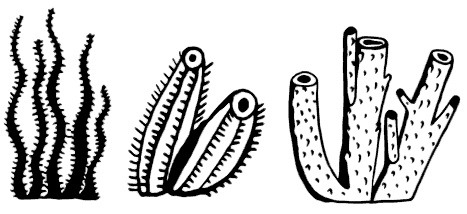 Иллюстрация к книге — Маяк на Омаровых рифах [i_047.jpg]