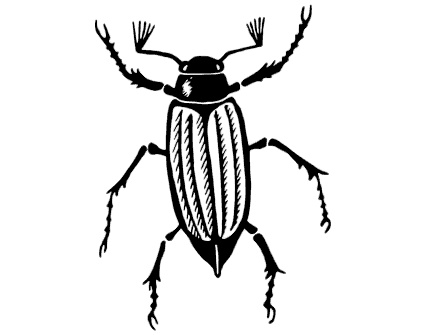 Иллюстрация к книге — Маяк на Омаровых рифах [i_156.jpg]