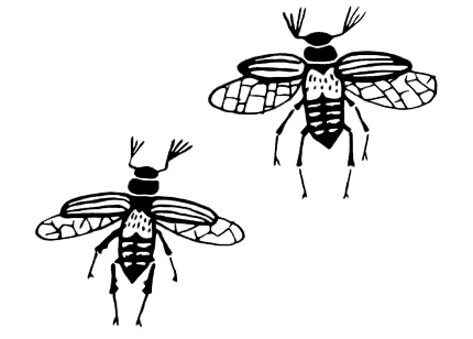 Иллюстрация к книге — Маяк на Омаровых рифах [i_158.jpg]