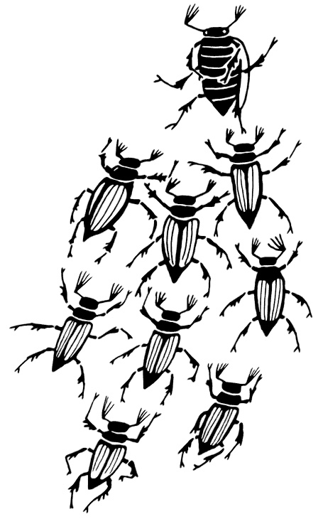 Иллюстрация к книге — Маяк на Омаровых рифах [i_160.jpg]