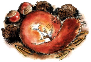 Иллюстрация к книге — В гостях у Санта-Клауса [i_010.jpg]