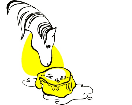 Иллюстрация к книге — Три сказки об Италии. Лошади, призраки и Чижик-Пыжик [img24.jpg]