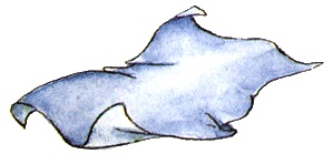 Иллюстрация к книге — Страшилка Стелла и Школа привидений [i_004.jpg]