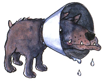 Иллюстрация к книге — Страшилка Стелла и Школа привидений [i_017.jpg]