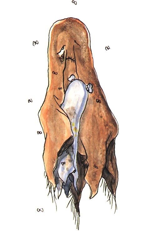 Иллюстрация к книге — Страшилка Стелла и Школа привидений [i_033.jpg]