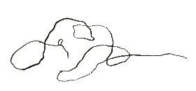 Иллюстрация к книге — Стелла и седьмая звезда. Вторая истина [i_072.jpg]