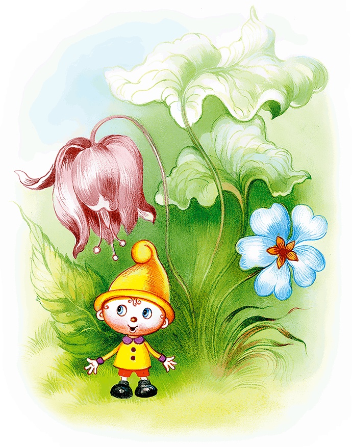 Иллюстрация к книге — Самый маленький гном и другие сказки [i_017.jpg]