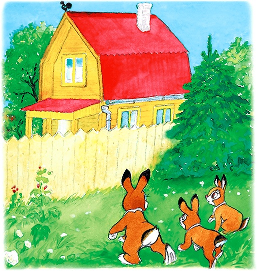 Иллюстрация к книге — Самый маленький гном и другие сказки [i_099.jpg]