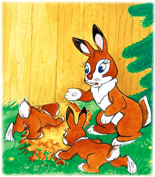 Иллюстрация к книге — Самый маленький гном и другие сказки [i_100.jpg]