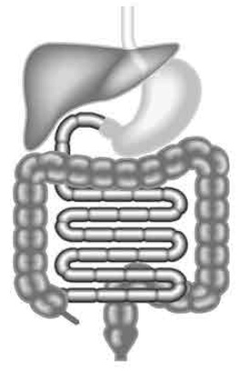 Иллюстрация к книге — Они внутри нас [i_001.jpg]