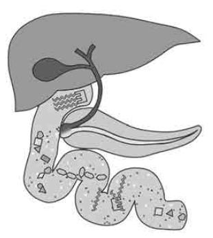 Иллюстрация к книге — Они внутри нас [i_002.jpg]