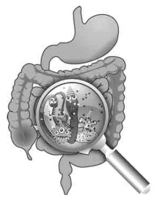 Иллюстрация к книге — Они внутри нас [i_003.jpg]