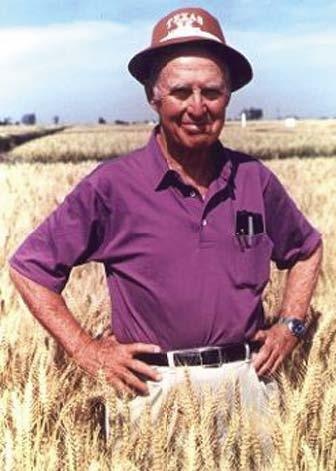 Иллюстрация к книге — Колумбы Вселенной (сборник) [i_017.jpg]