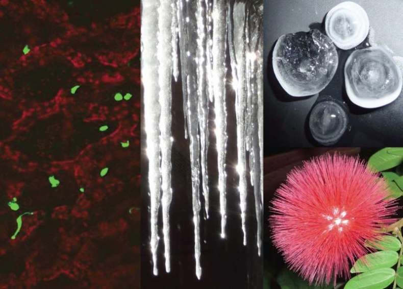 Иллюстрация к книге — Колумбы Вселенной (сборник) [i_018.jpg]