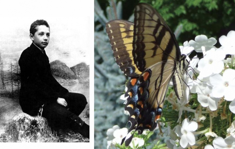 Иллюстрация к книге — Колумбы Вселенной (сборник) [i_025.jpg]